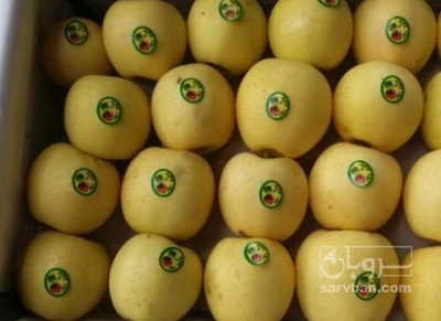 فروش سیب زرد