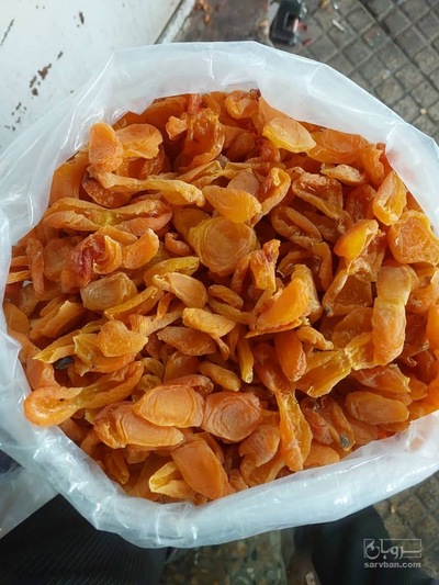 فروش برگه قیسی