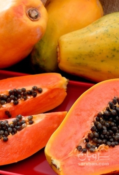 فروش پاپایا