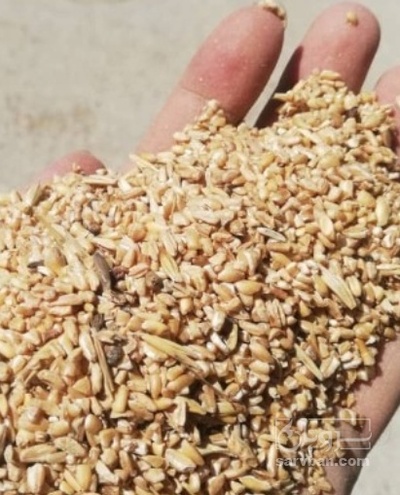 فروش ضایعات بوجاری گندم