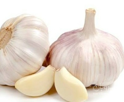 فروش سیر سبدی