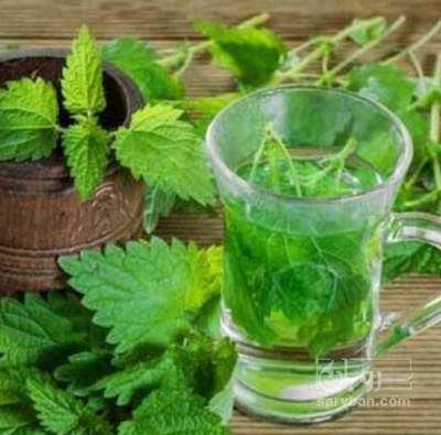 فروش عرق نعناع