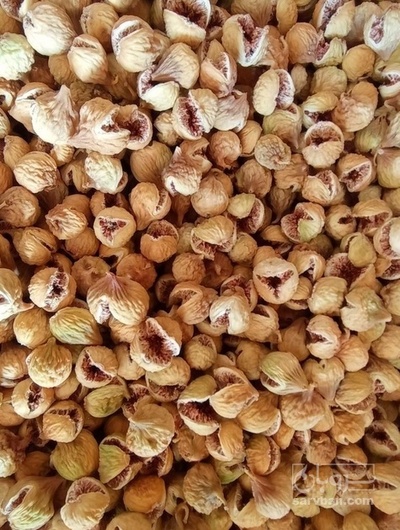 فروش انجیر خشک