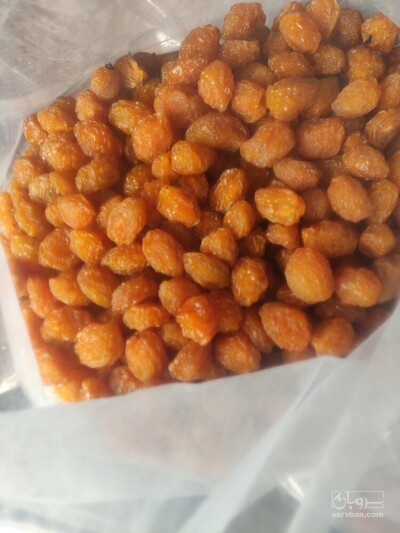 فروش آلوبخارا