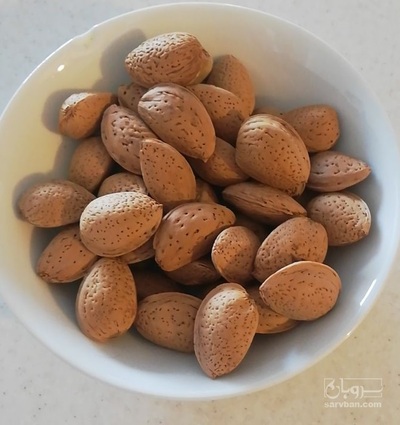 فروش بادام درختی