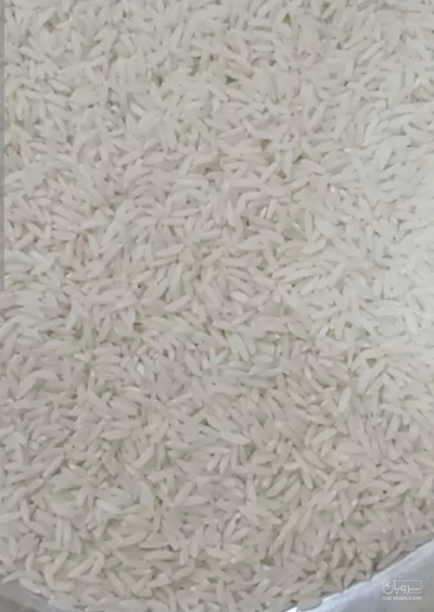 فروش برنج