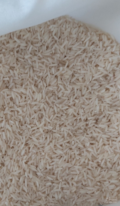 فروش برنج