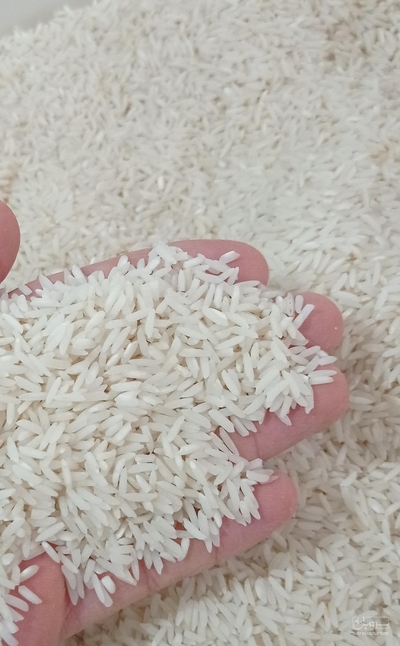 فروش برنج