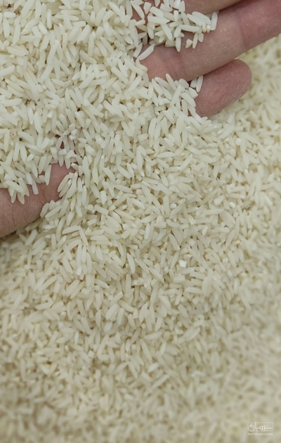 فروش برنج