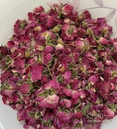 فروش گل محمدی (گیاه‌ دارویی)