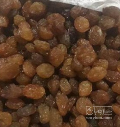 فروش کشمش
