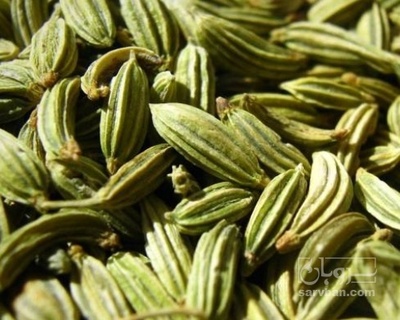 فروش زیره (گیاه‌ دارویی)