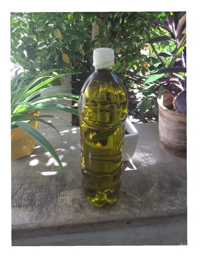 فروش روغن زیتون ارگانیک