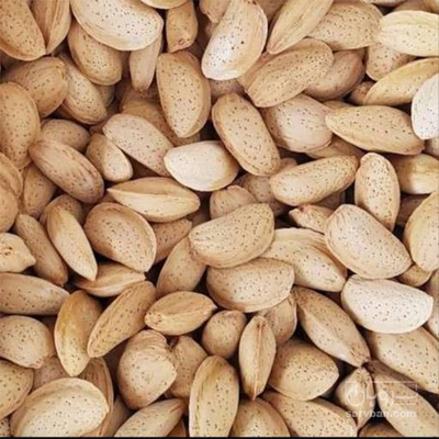 فروش انواع بادام درختی