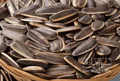 فروش تخمه آفتابگردان خام