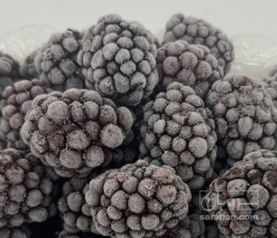 فروش شاتوت منجمد