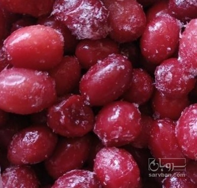 فروش زغال اخته منجمد