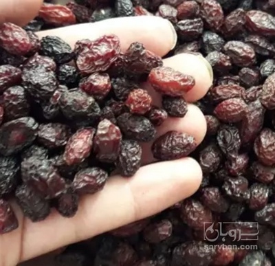 فروش زغال اخته خشک