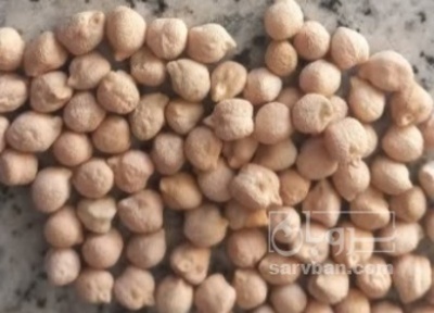 فروش نخود محلی