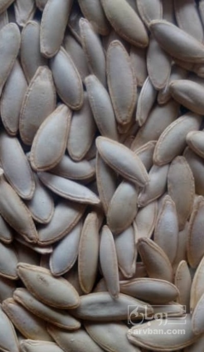 فروش تخمه  کدو ریز