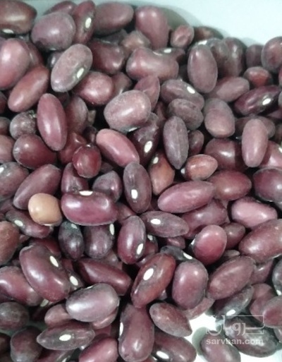 فروش لوبیا قرمز