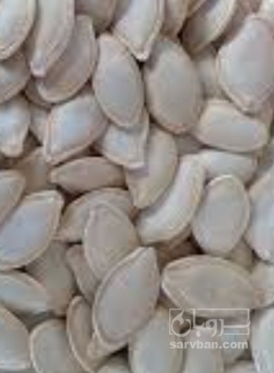 فروش تخمه  کدو بو داده