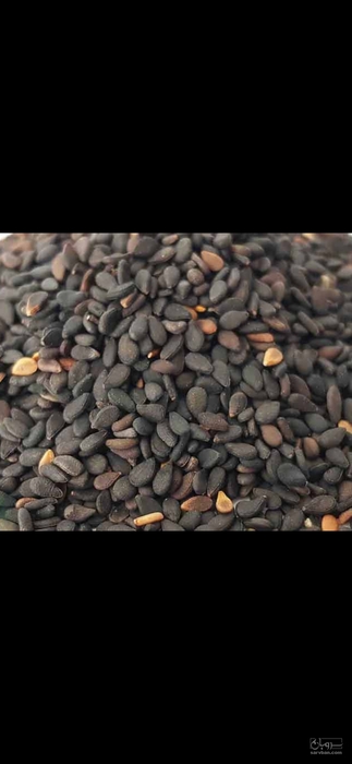 فروش کنجد سیاه