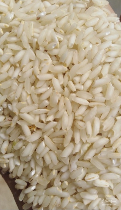 فروش برنج عنبربو