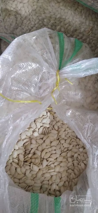 فروش تخمه  کدو گوشتی