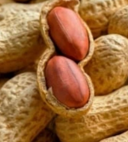 فروش بادام زمینی با قلاف