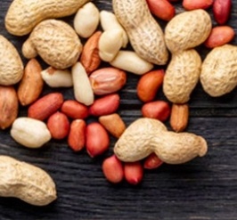 فروش بادام زمینی بی قلاف