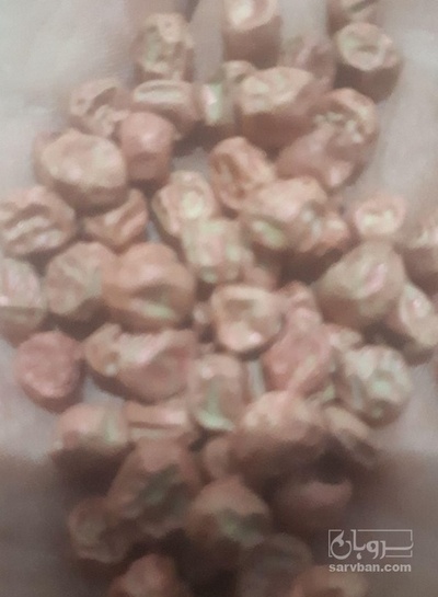 فروش  بذرنخود فرنگی