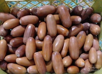 فروش بلوط (گیاه‌ دارویی)