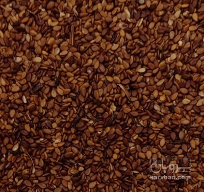 فروش کنجد قهوه ایی