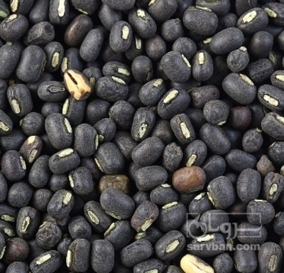 فروش ماش سیاه