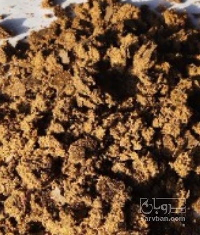 فروش کنجاله  پنبه دانه