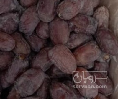 فروش خرما کلوته