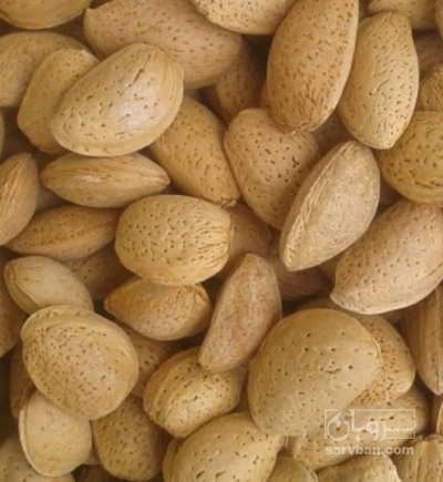 فروش بادام سنگی