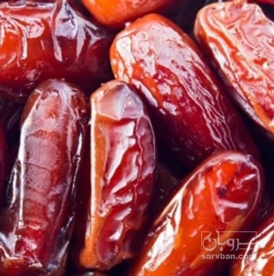 فروش خرما ربی
