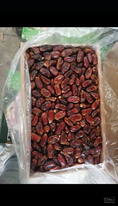 فروش خرما سعمران