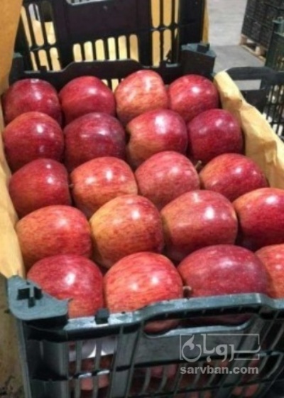 فروش سیب قرمز