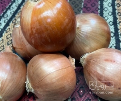 فروش پیاز زرد فلات