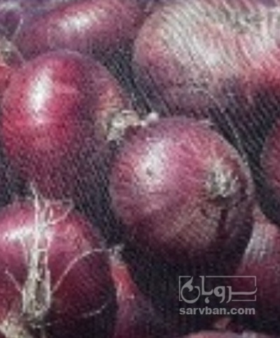 فروش پیاز قرمز