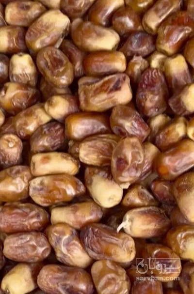 فروش خرما گنتار