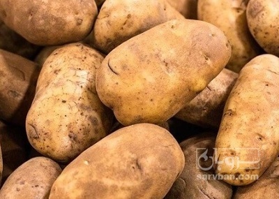 فروش سیب زمینی