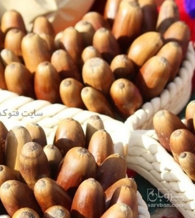 فروش بلوط (گیاه‌ دارویی)