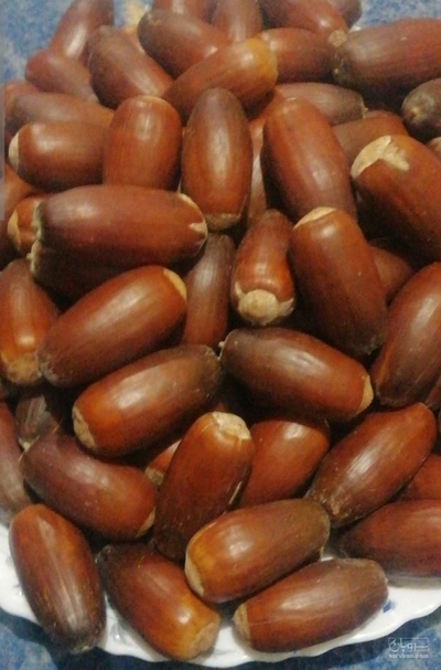 فروش بلوط (گیاه‌ دارویی)