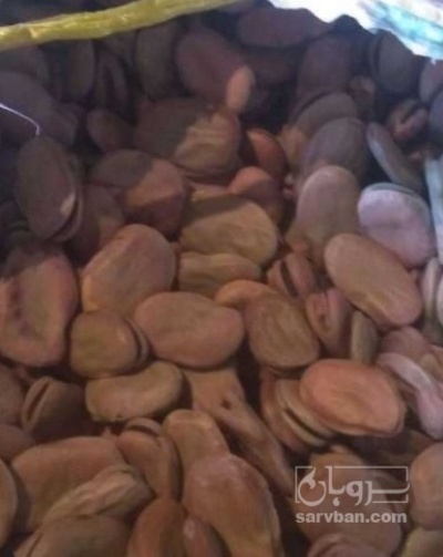 فروش باقلا خشک