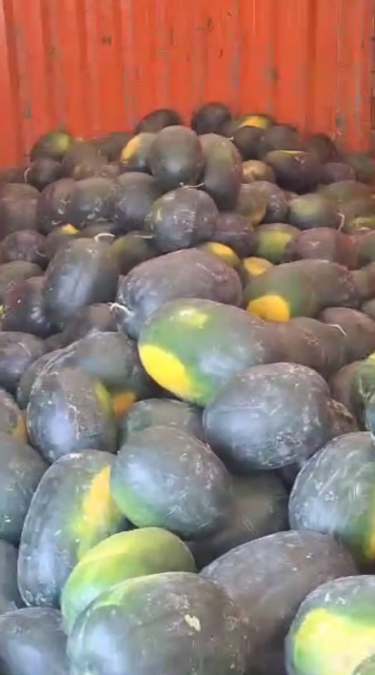 فروش هندوانه