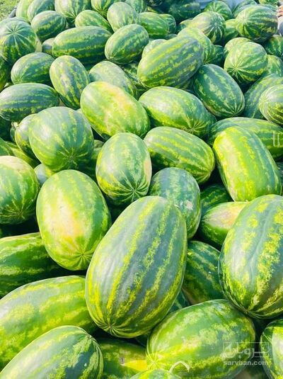 فروش هندوانه